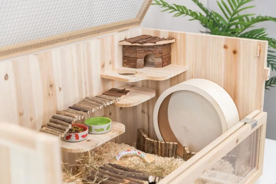  Hamsterbur – Den ultimative guide til det perfekte hamsterhjem